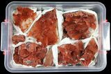 Natural Red Quartz Wholesale Lot - Pieces #61656-1